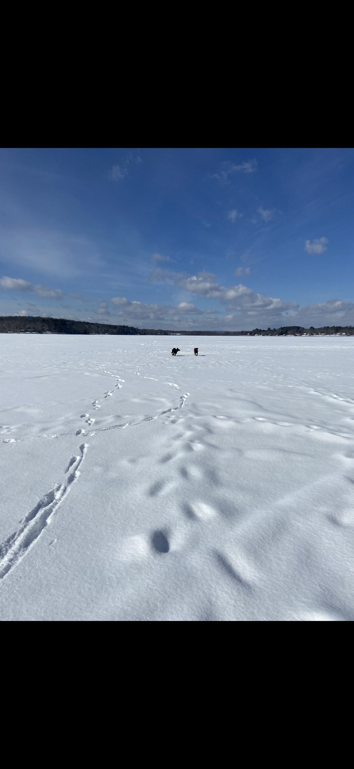 172 Stone Rd, East Brookfield, MA 01515 - Image 24