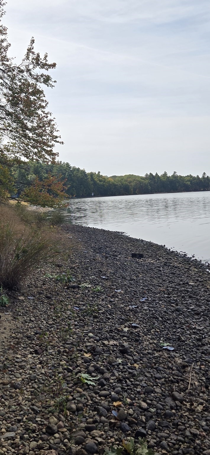 172 Stone Rd, East Brookfield, MA 01515 - Image 8