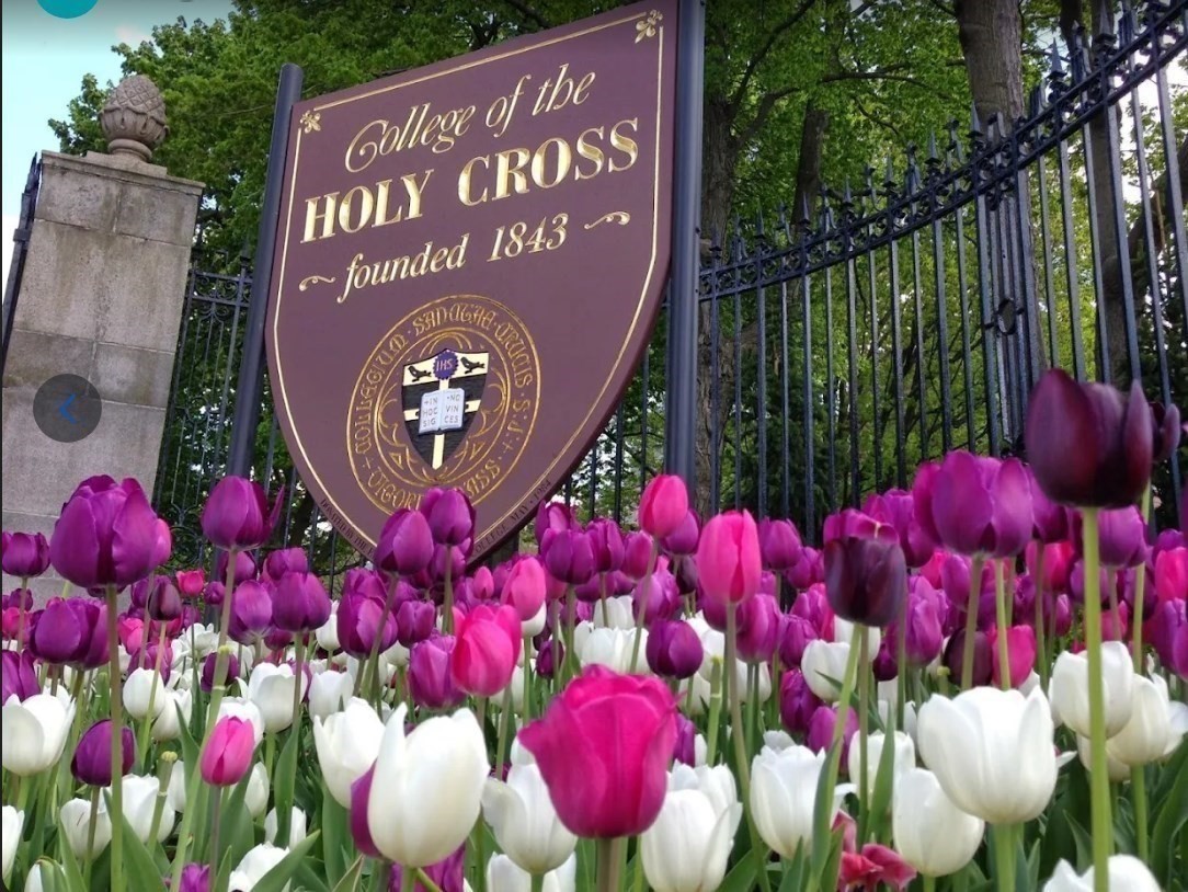 522 Cambridge Street, Worcester, MA 01610 - Image 10