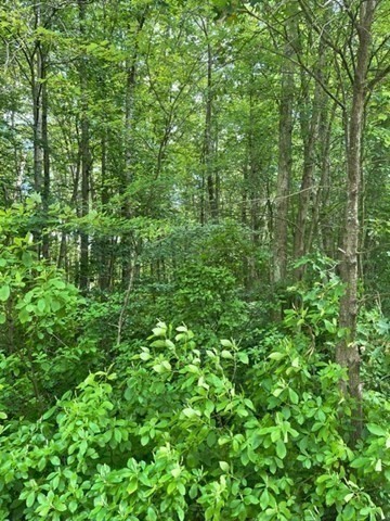 0 Twin River Rd., Lincoln, RI 02865 - Image 12