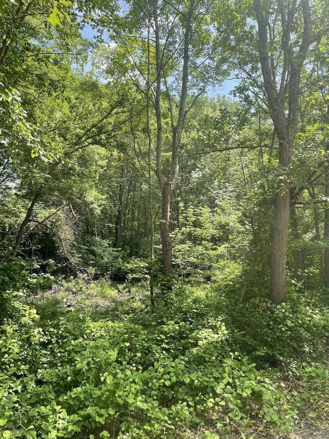 0 Twin River Rd., Lincoln, RI 02865 - Image 8