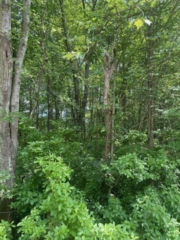 0 Twin River Rd., Lincoln, RI 02865 - Image 10