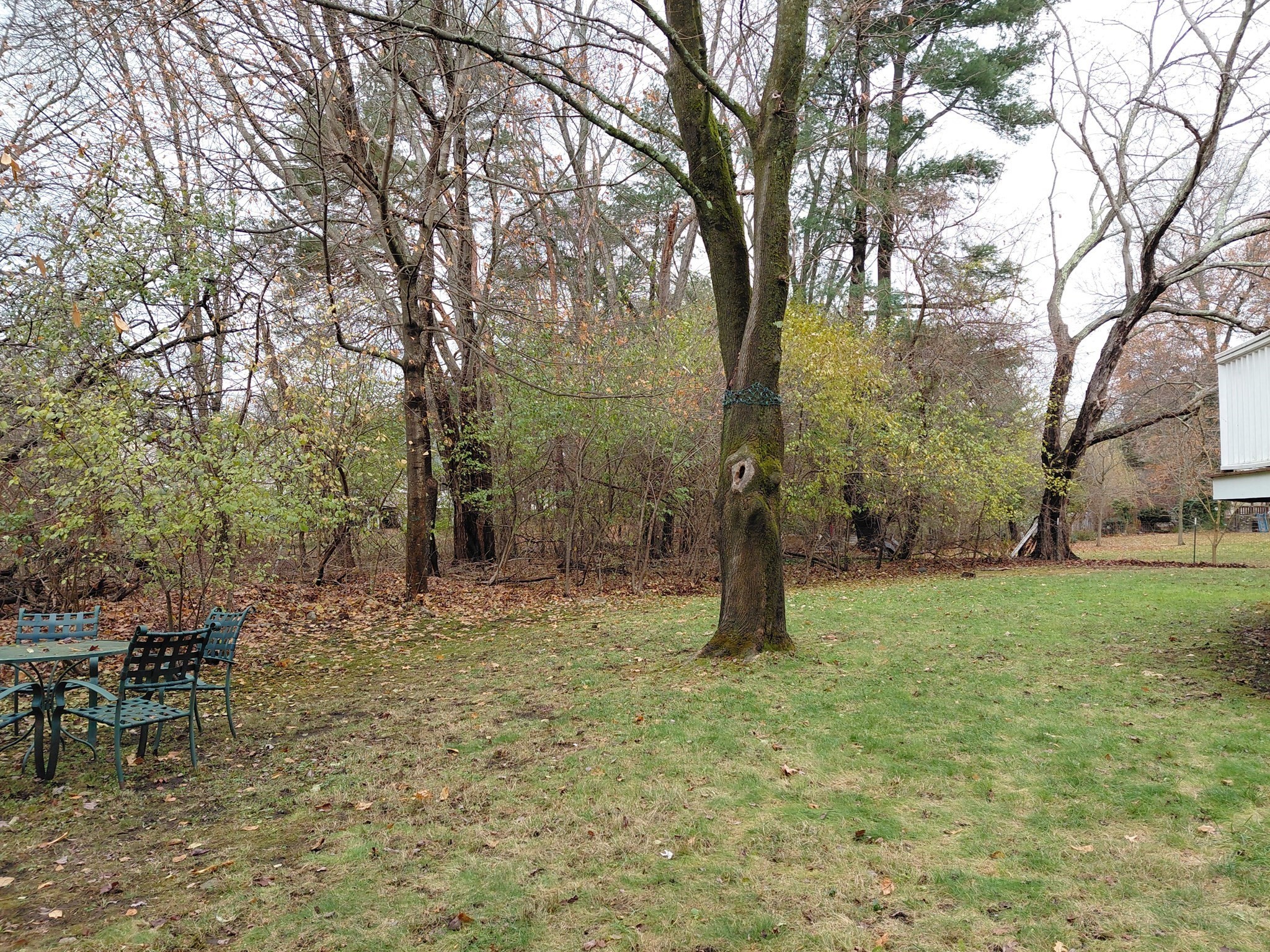 218 Lowell St, Lexington, MA 02420 - Image 8