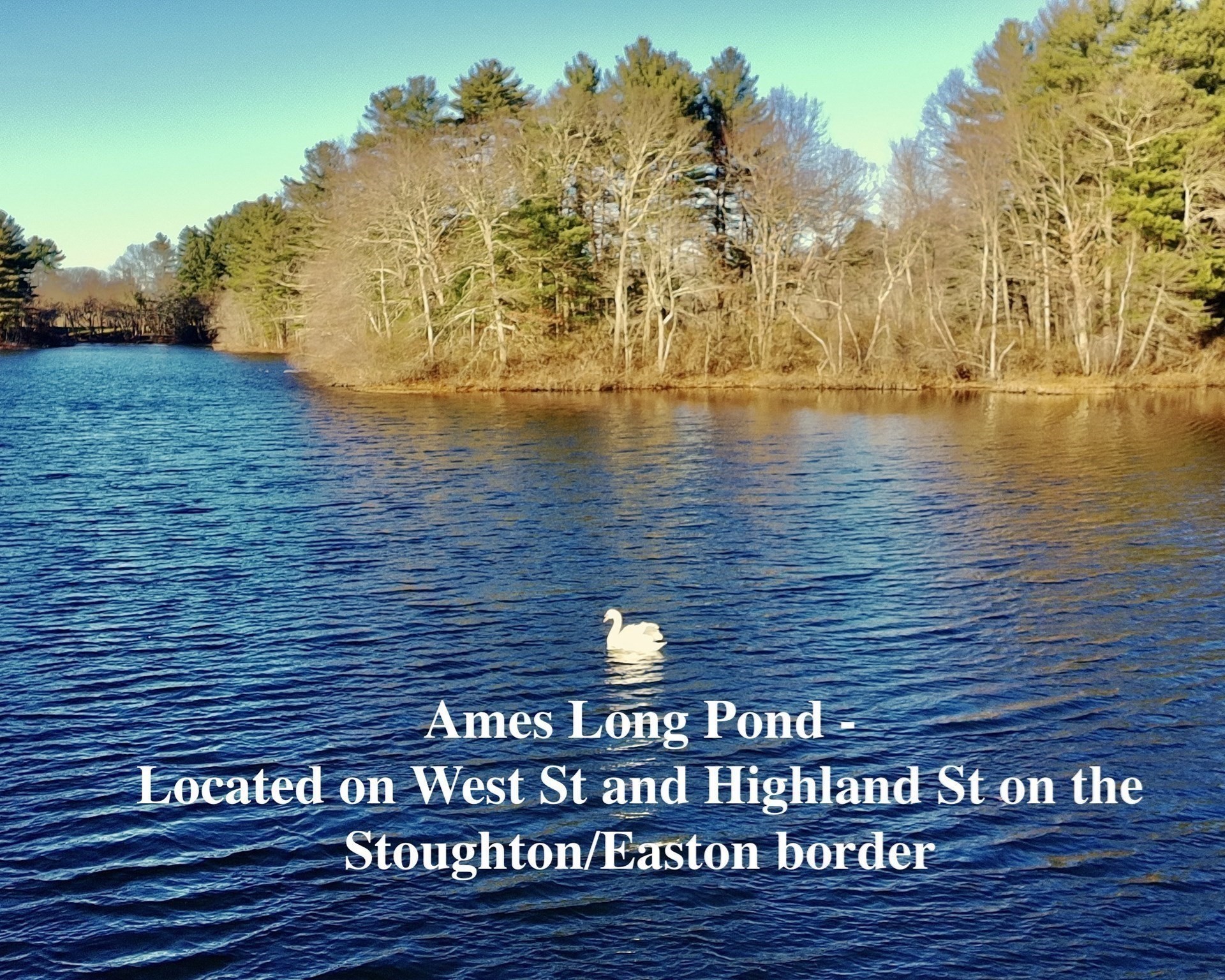 93 Palisades Cir, Stoughton, MA 02072 - Image 3