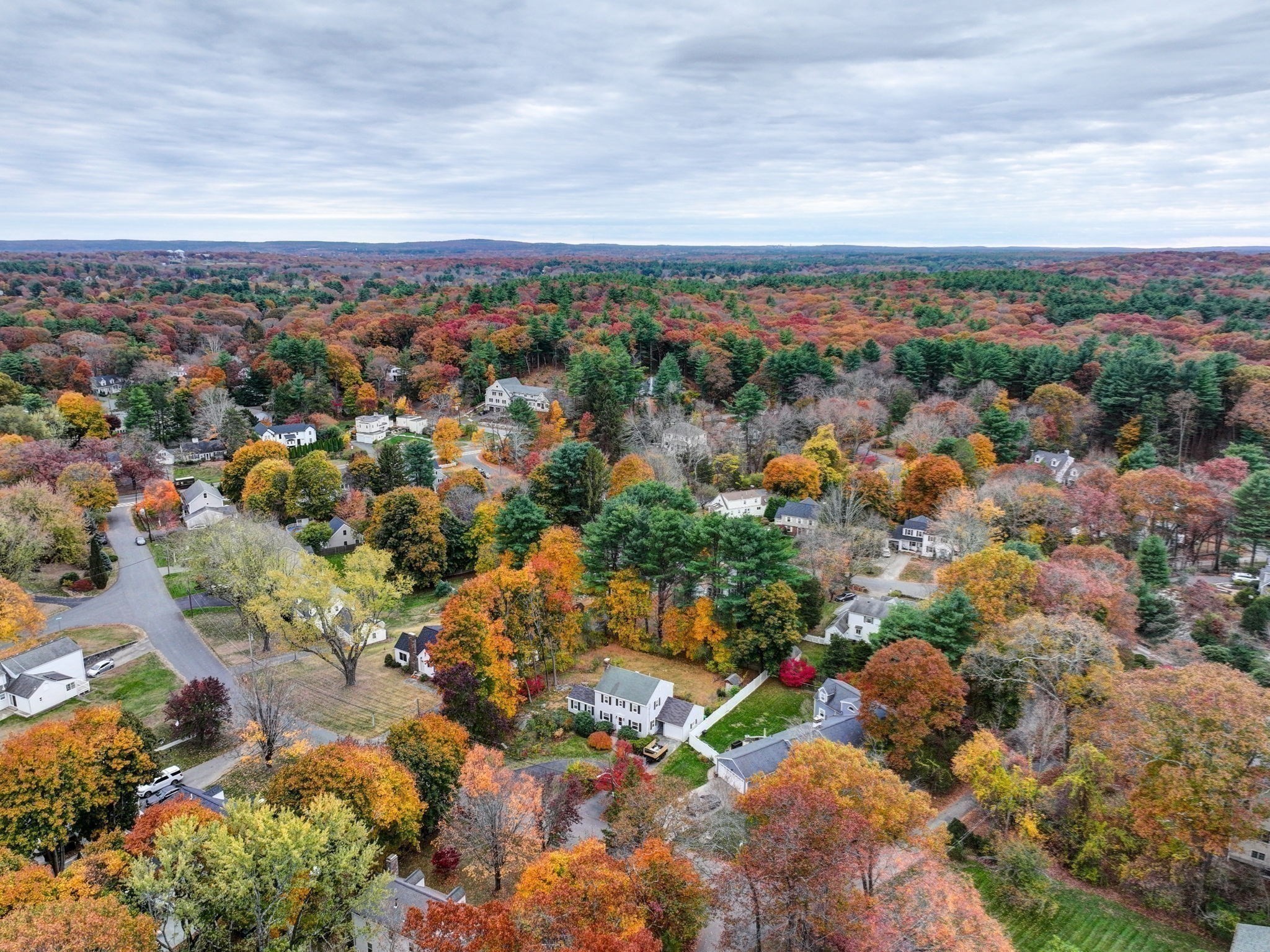 60 Warwick Dr, Westwood, MA 02090 - Image 35