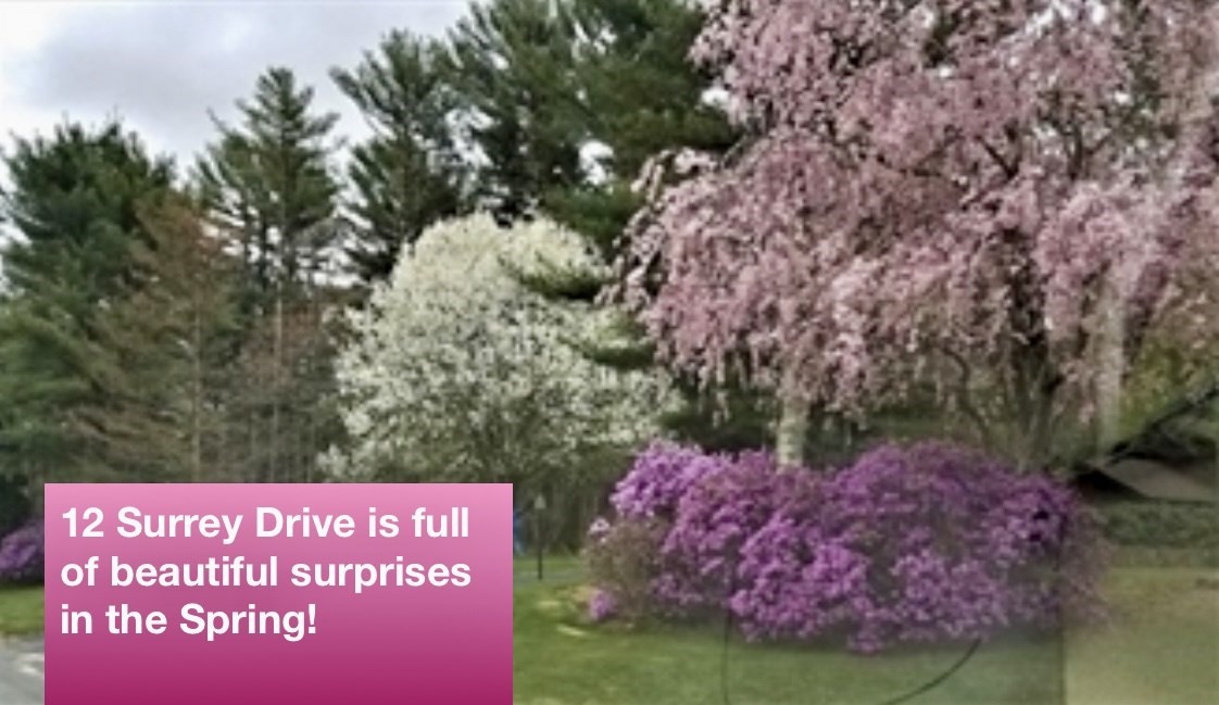 12 Surrey Dr, Lakeville, MA 02347 - Image 34