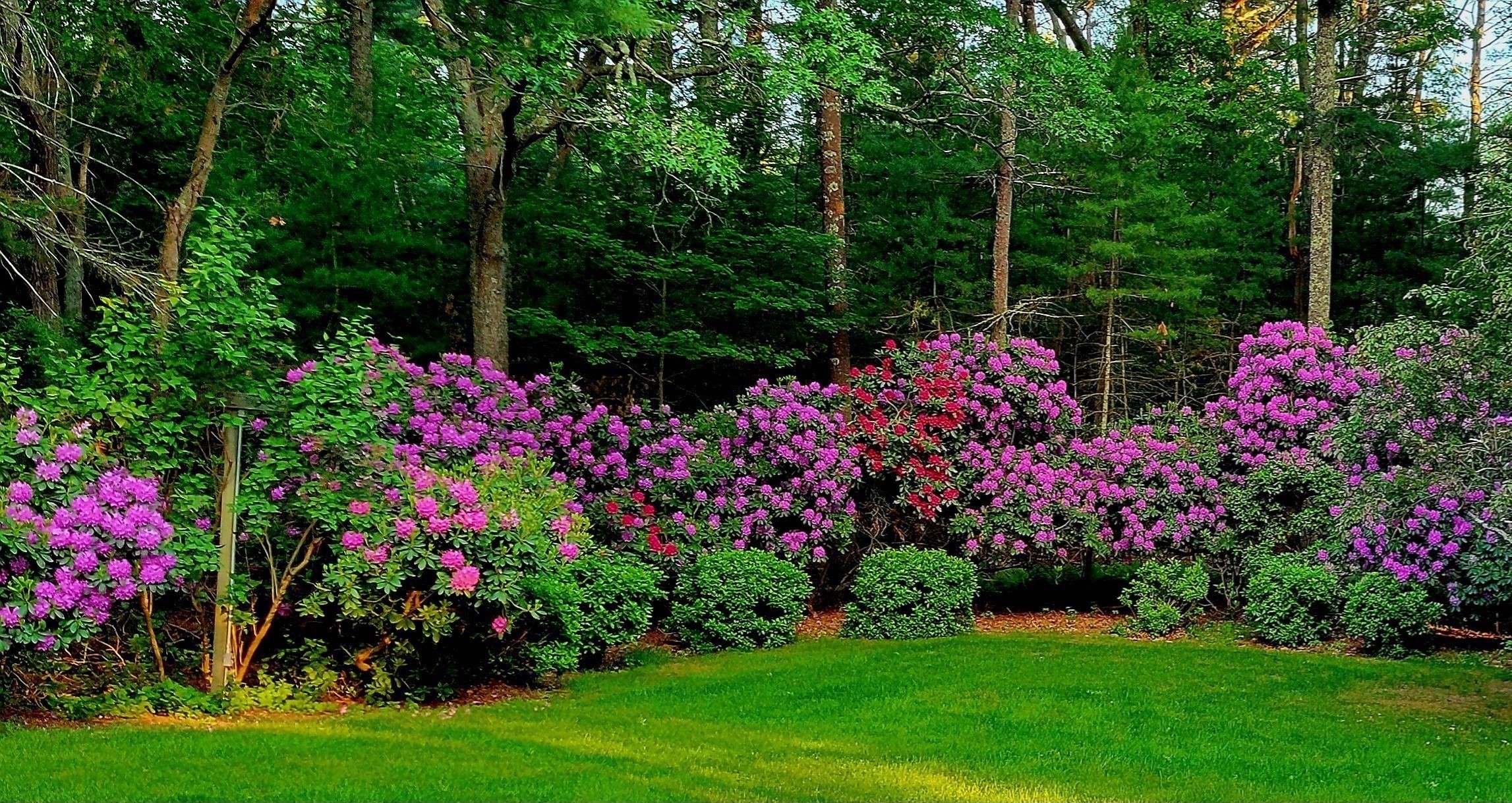 12 Surrey Dr, Lakeville, MA 02347 - Image 35