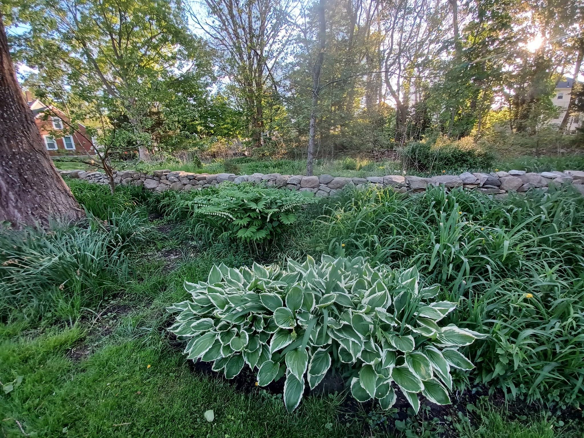 81 Durfee Street, New Bedford, MA 02740 - Image 6