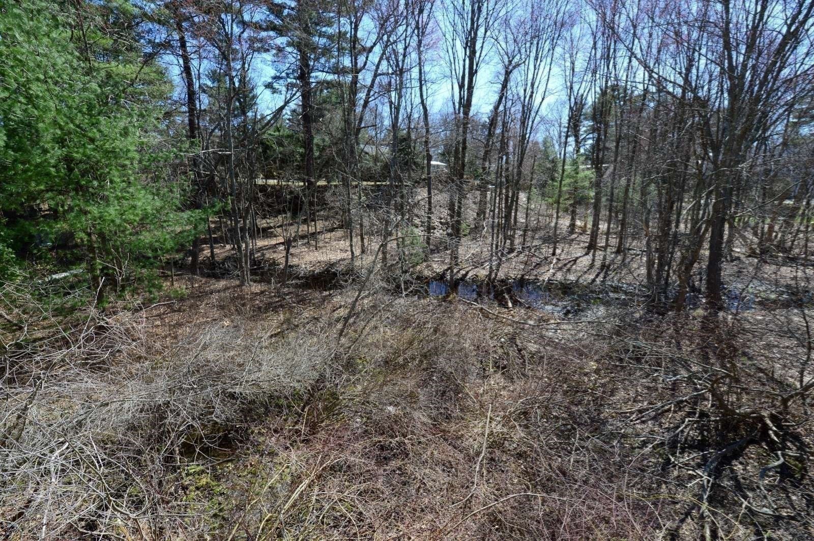 3 Sunnyside Ave, Wellesley, MA 02482 - Image 13