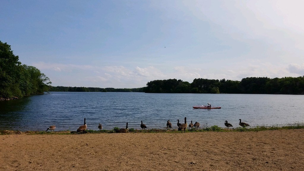 259 Elm St, Medford, MA 02155 - Image 40