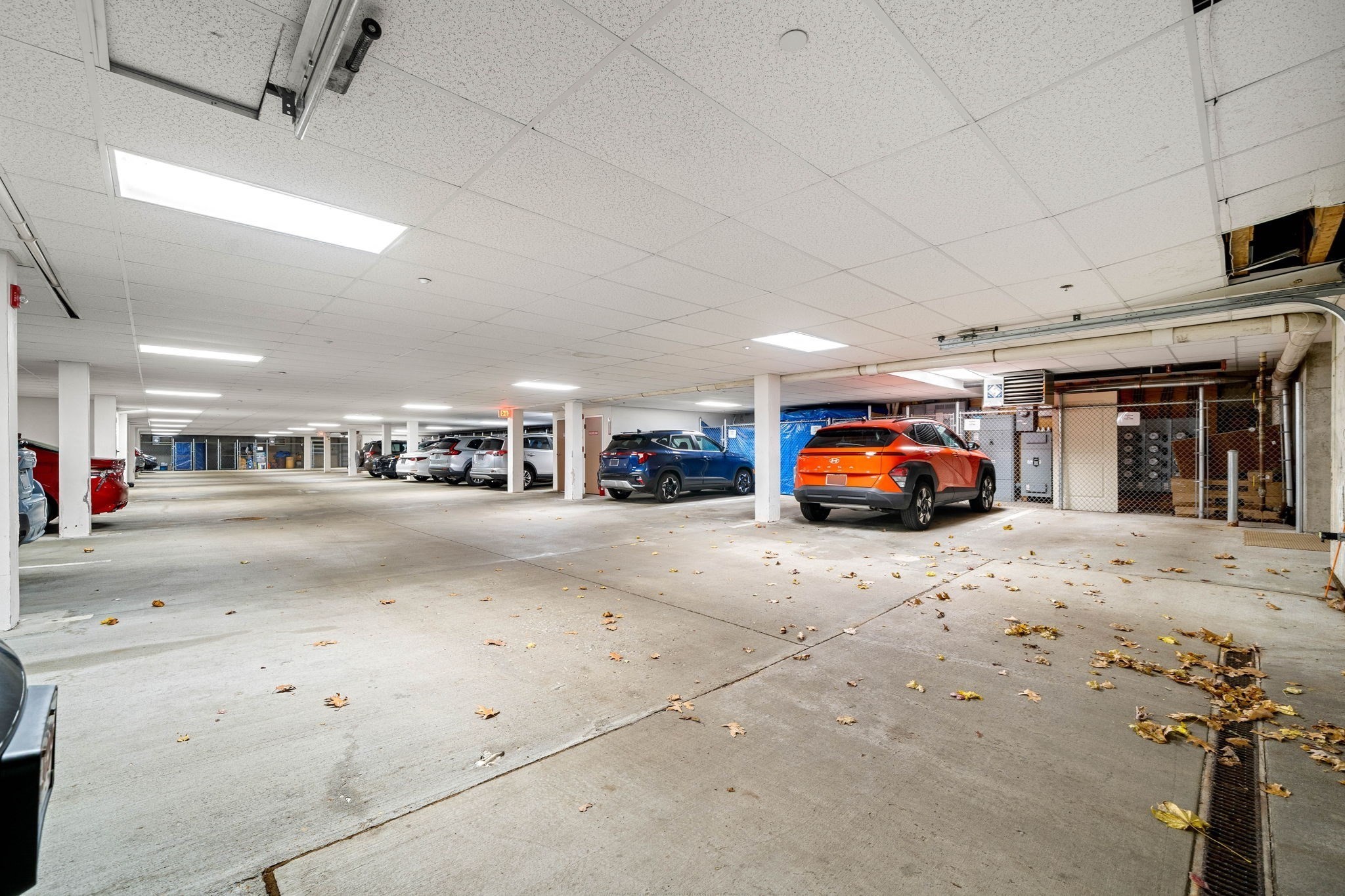 11 Cheriton Rd Unit 102, West Roxbury, Boston, MA 02132 - Image 32