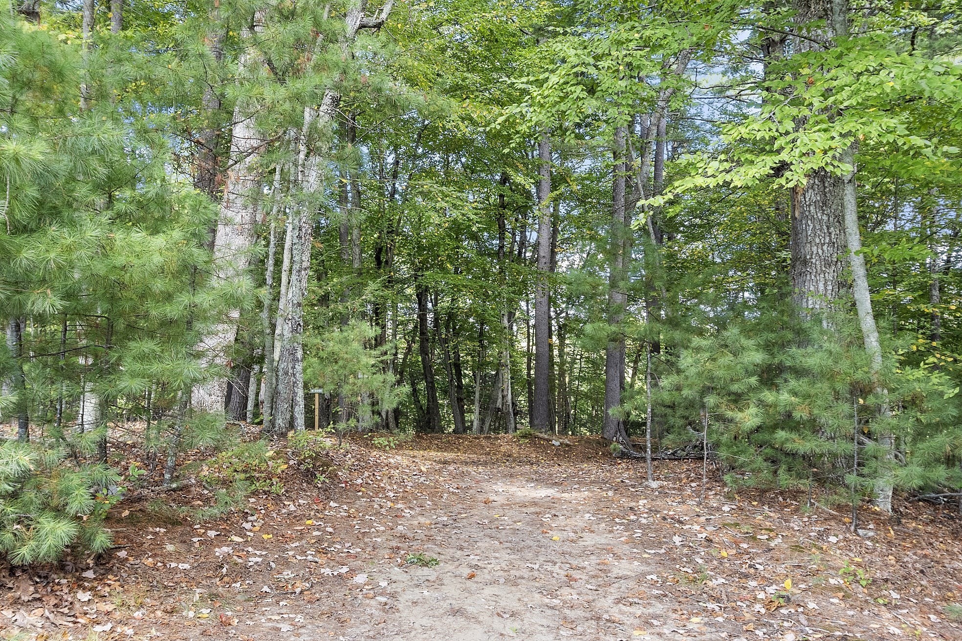 121 White Pond Way Unit 121, Sudbury, MA 01776 - Image 19