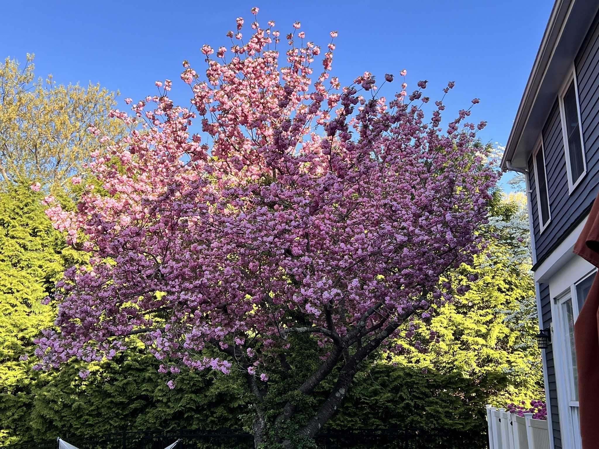 20 Herrick Dr, Milton, MA 02186 - Image 39