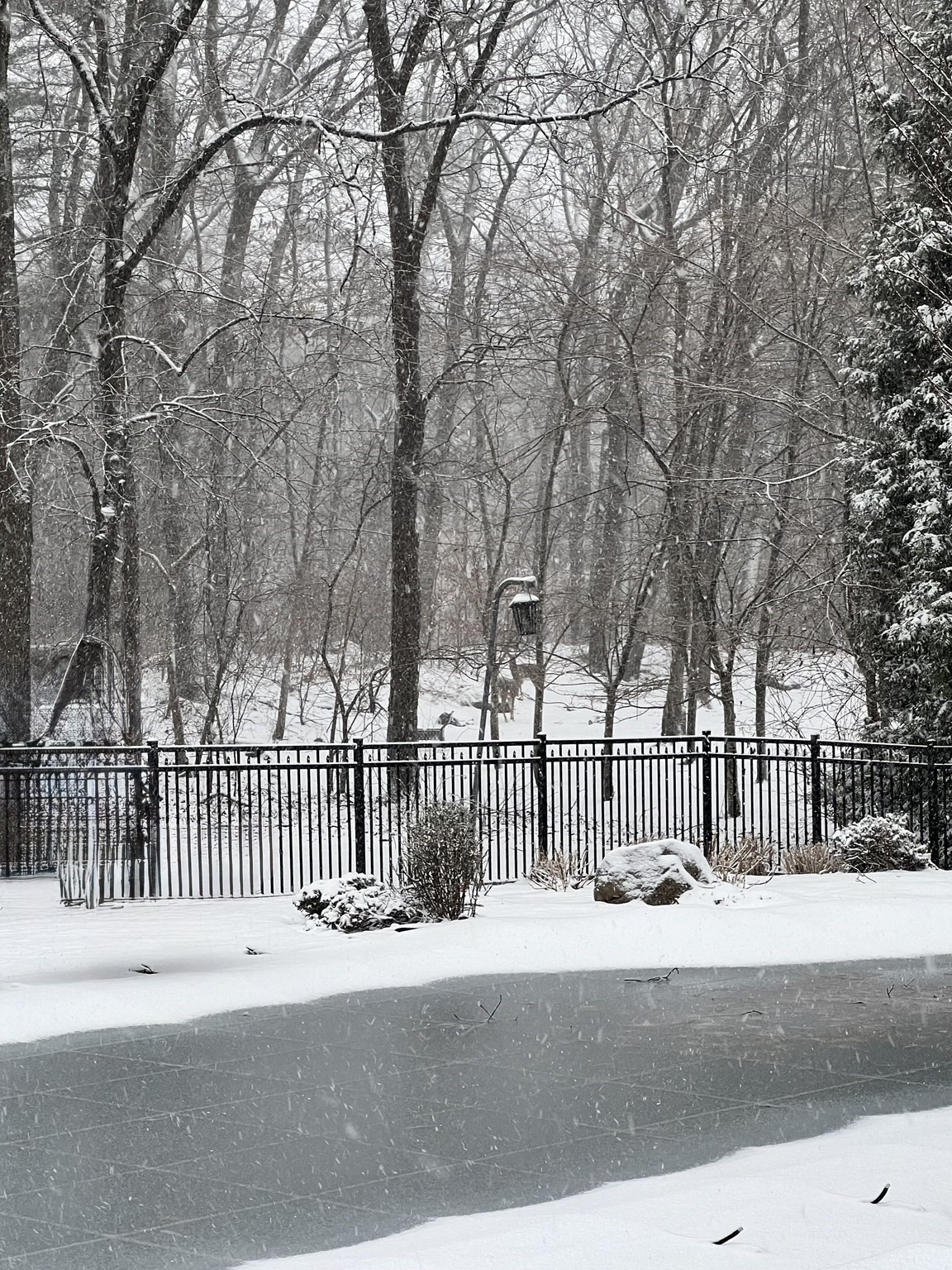 20 Herrick Dr, Milton, MA 02186 - Image 41