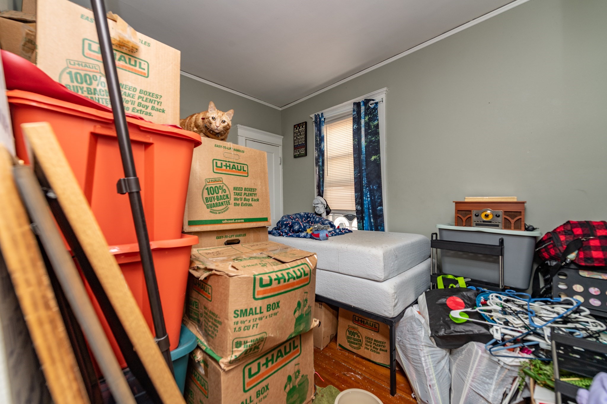 18 Santuit St, Dorchester, Boston, MA 02124 - Image 10