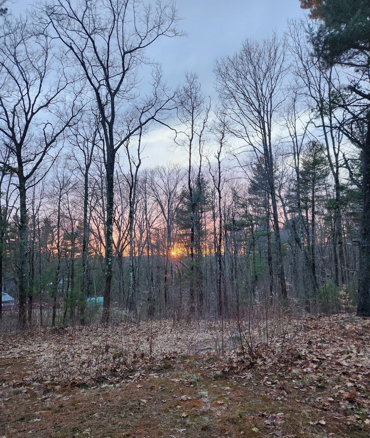 236 Turkey Hill Rd, Rutland, MA 01543 - Image 11