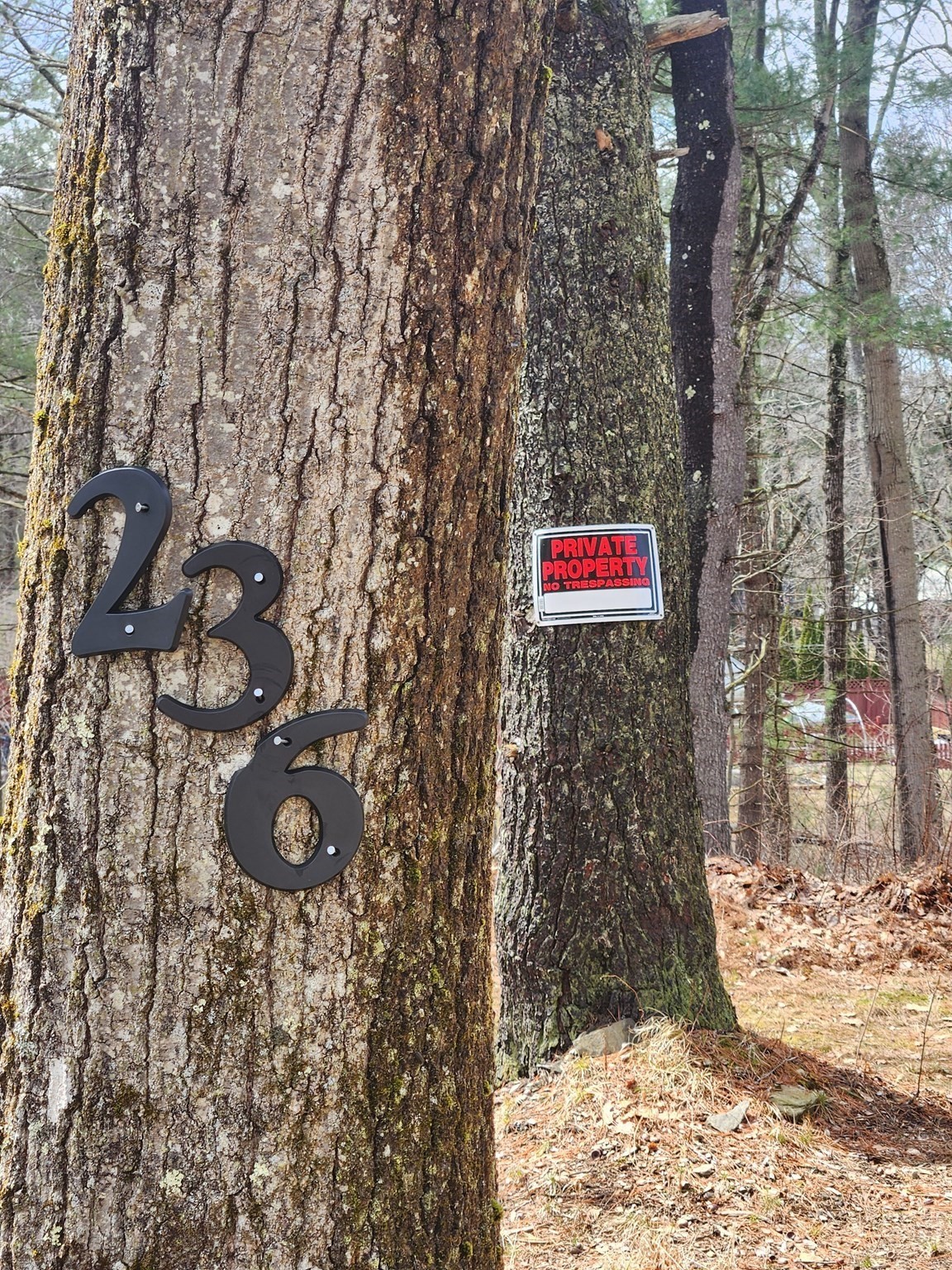 236 Turkey Hill Rd, Rutland, MA 01543 - Image 3