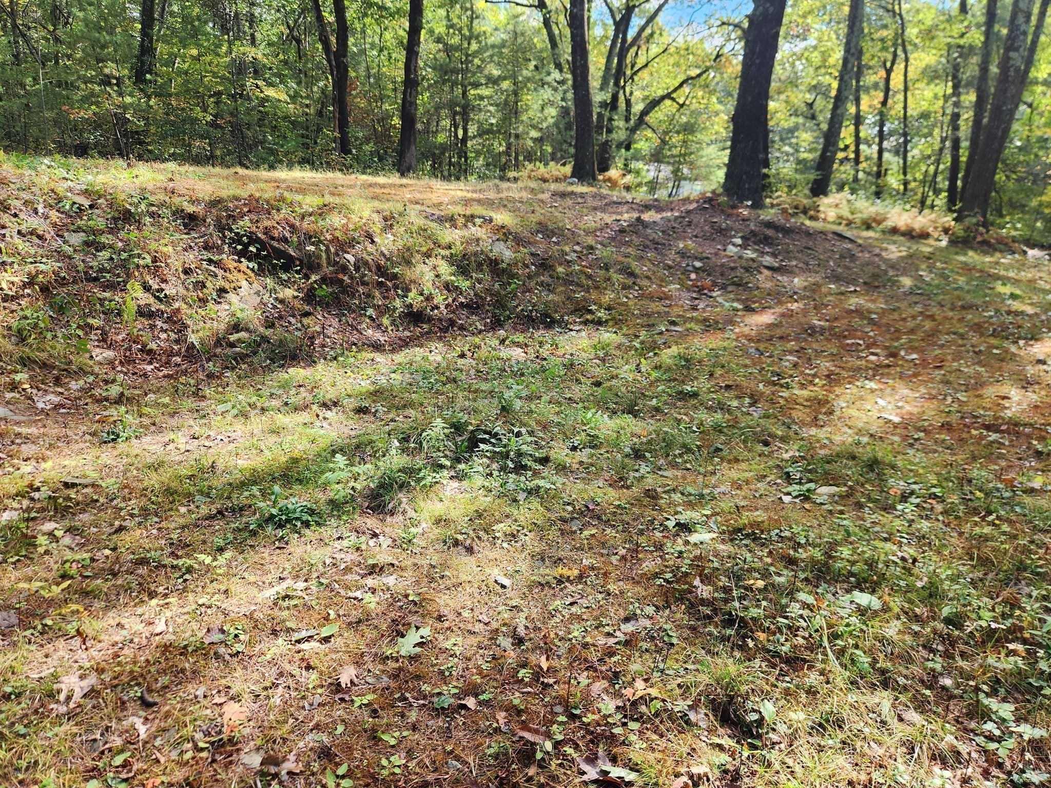 236 Turkey Hill Rd, Rutland, MA 01543 - Image 4