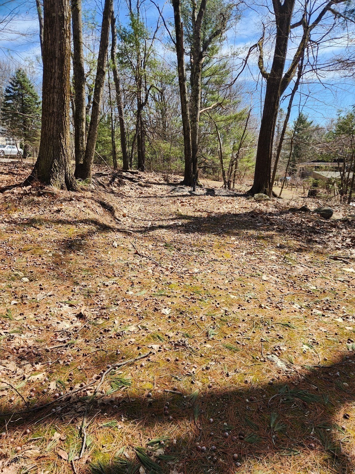 236 Turkey Hill Rd, Rutland, MA 01543 - Image 8