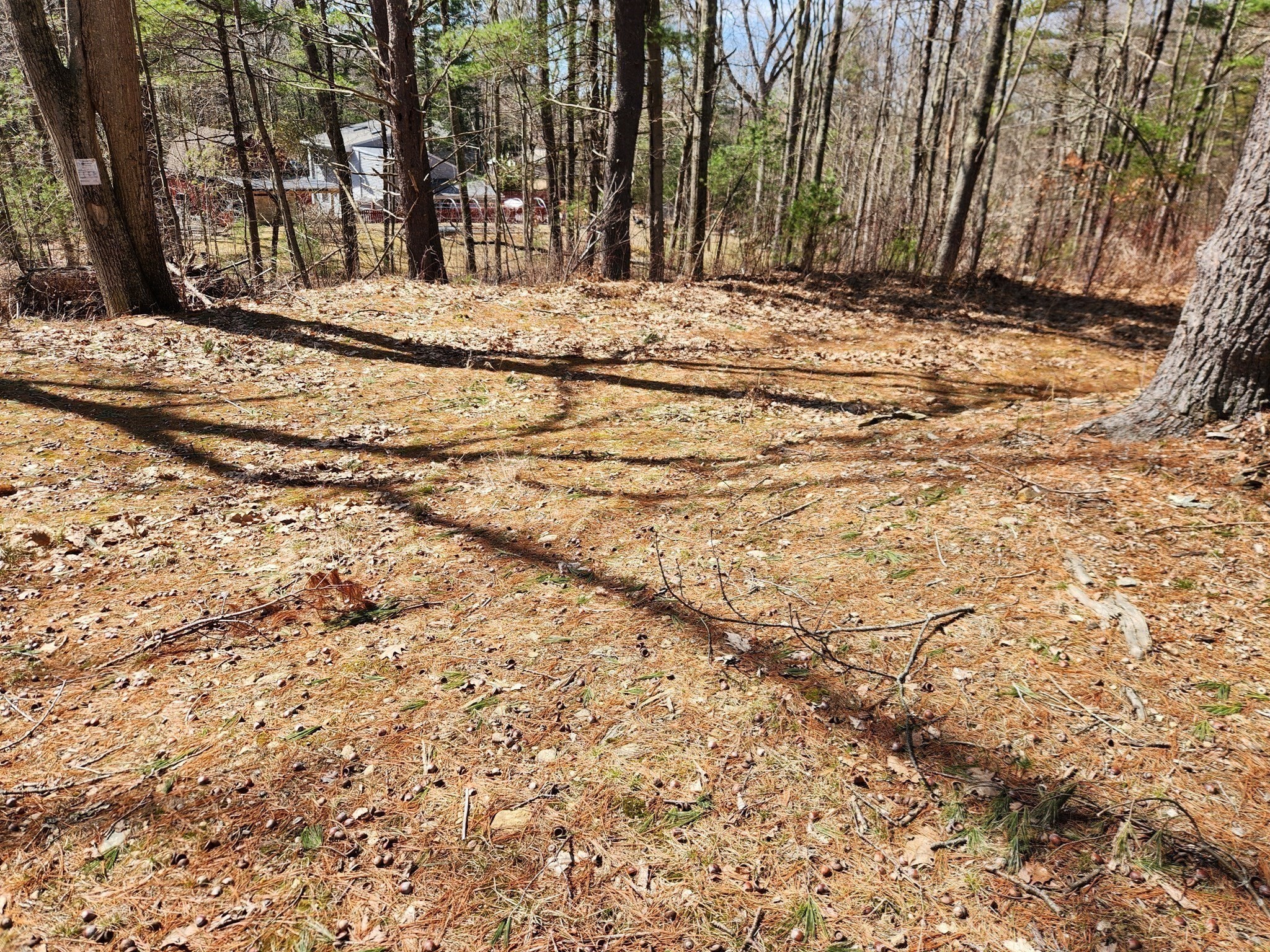 236 Turkey Hill Rd, Rutland, MA 01543 - Image 9