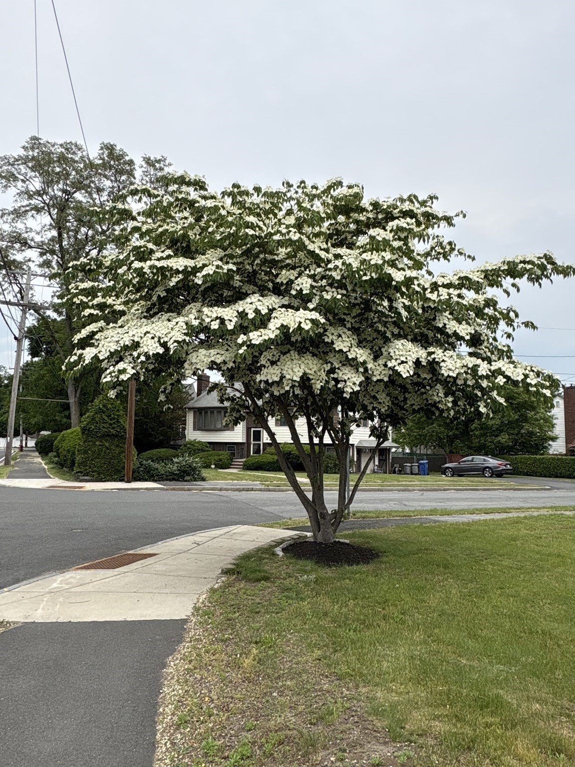 1 Mansfield Dr, Wakefield, MA 01880 - Image 40