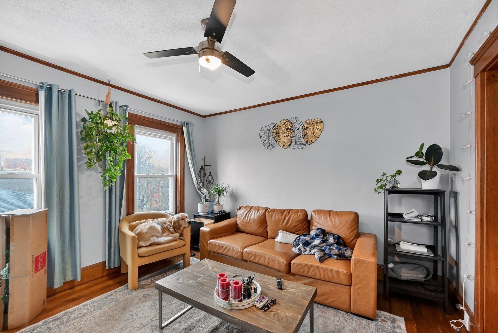 10 Mortimer Place, Somerville, MA 02145 - Image 4