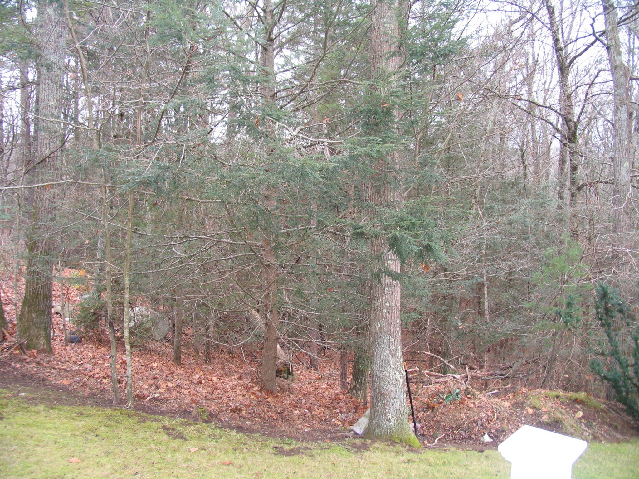 20 Drury Ln, Oxford, MA 01540 - Image 5