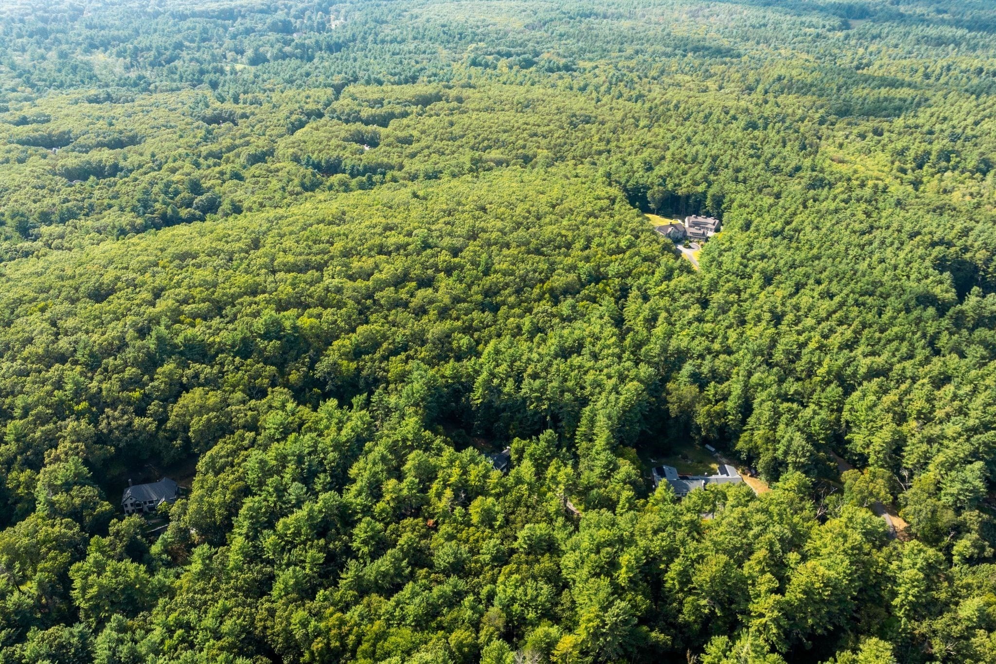 123 Dutton Rd, Sudbury, MA 01776 - Image 41