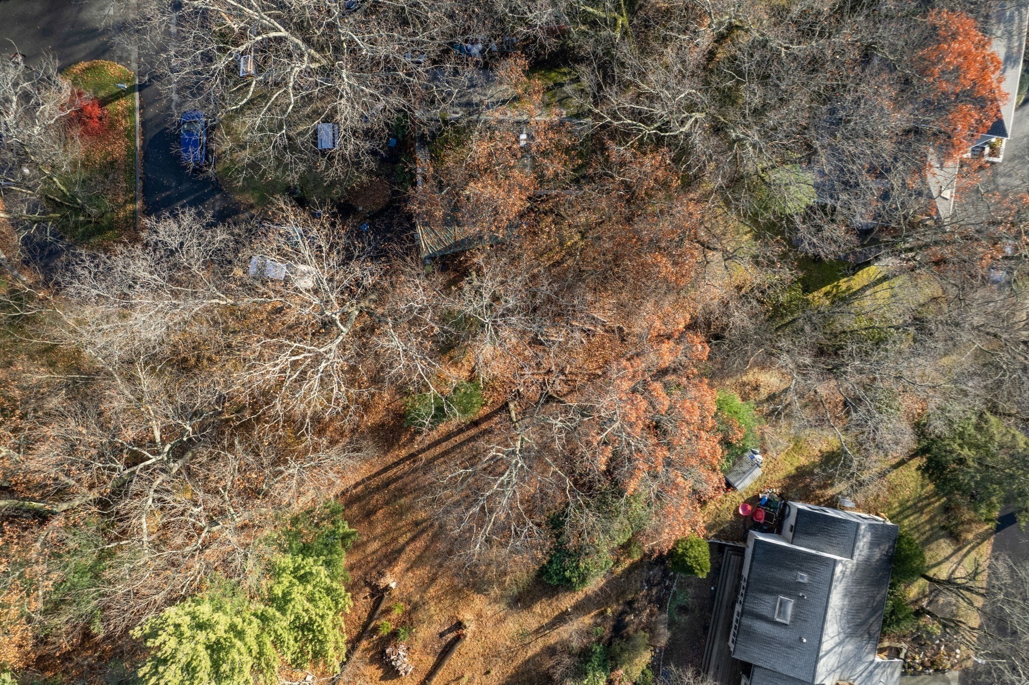 30 Harbell Street, Lexington, MA 02321 - Image 4