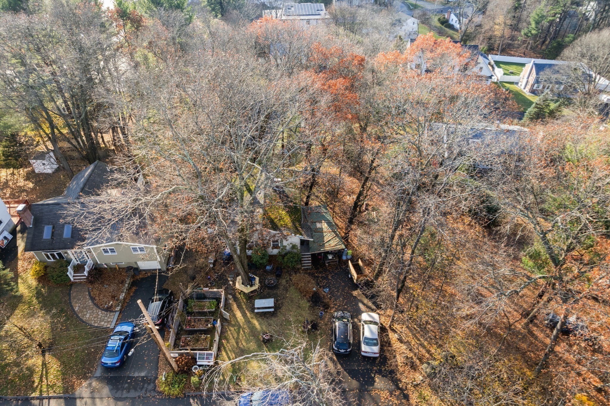 30 Harbell Street, Lexington, MA 02321 - Image 5