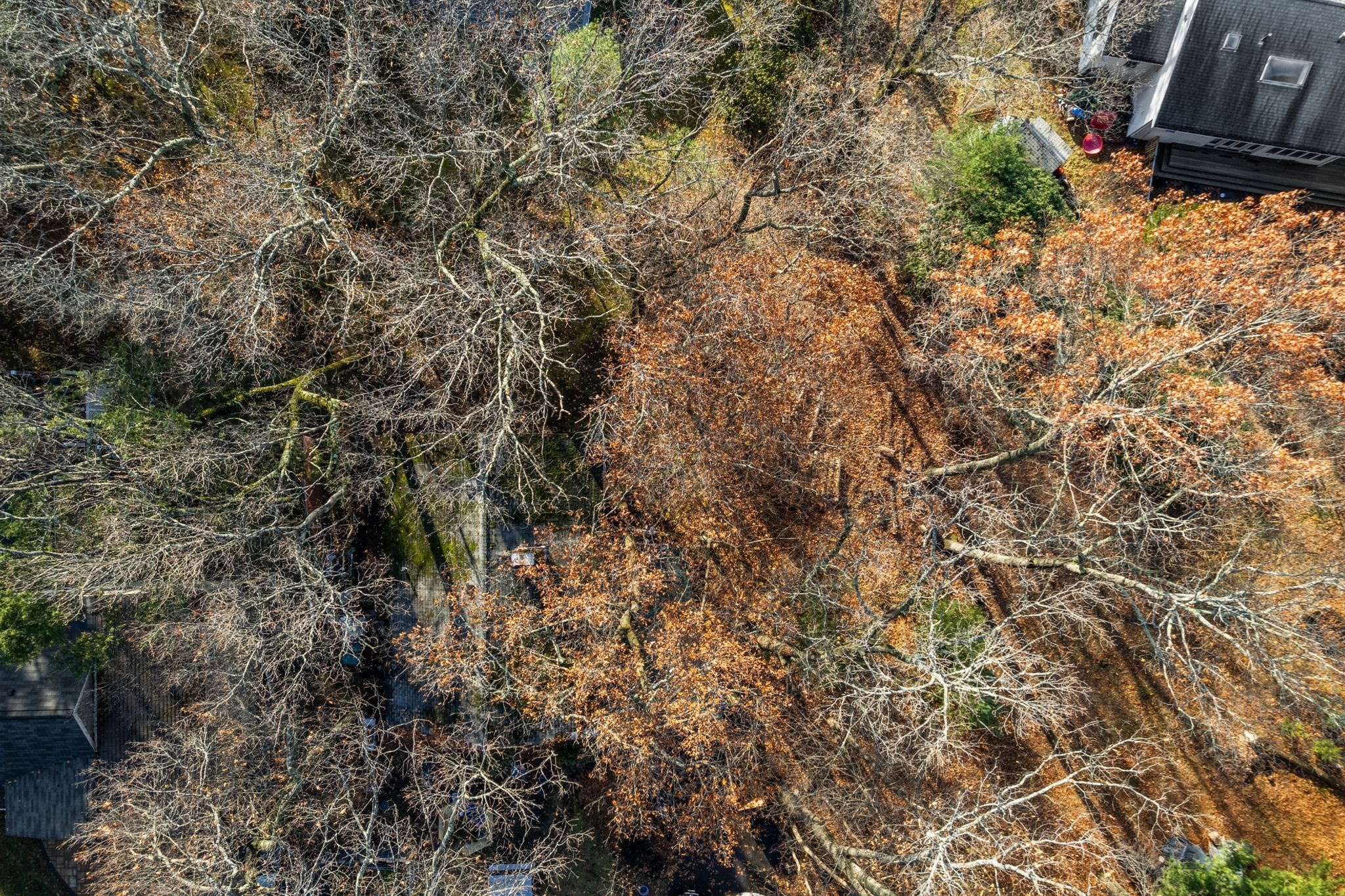 30 Harbell Street, Lexington, MA 02321 - Image 1