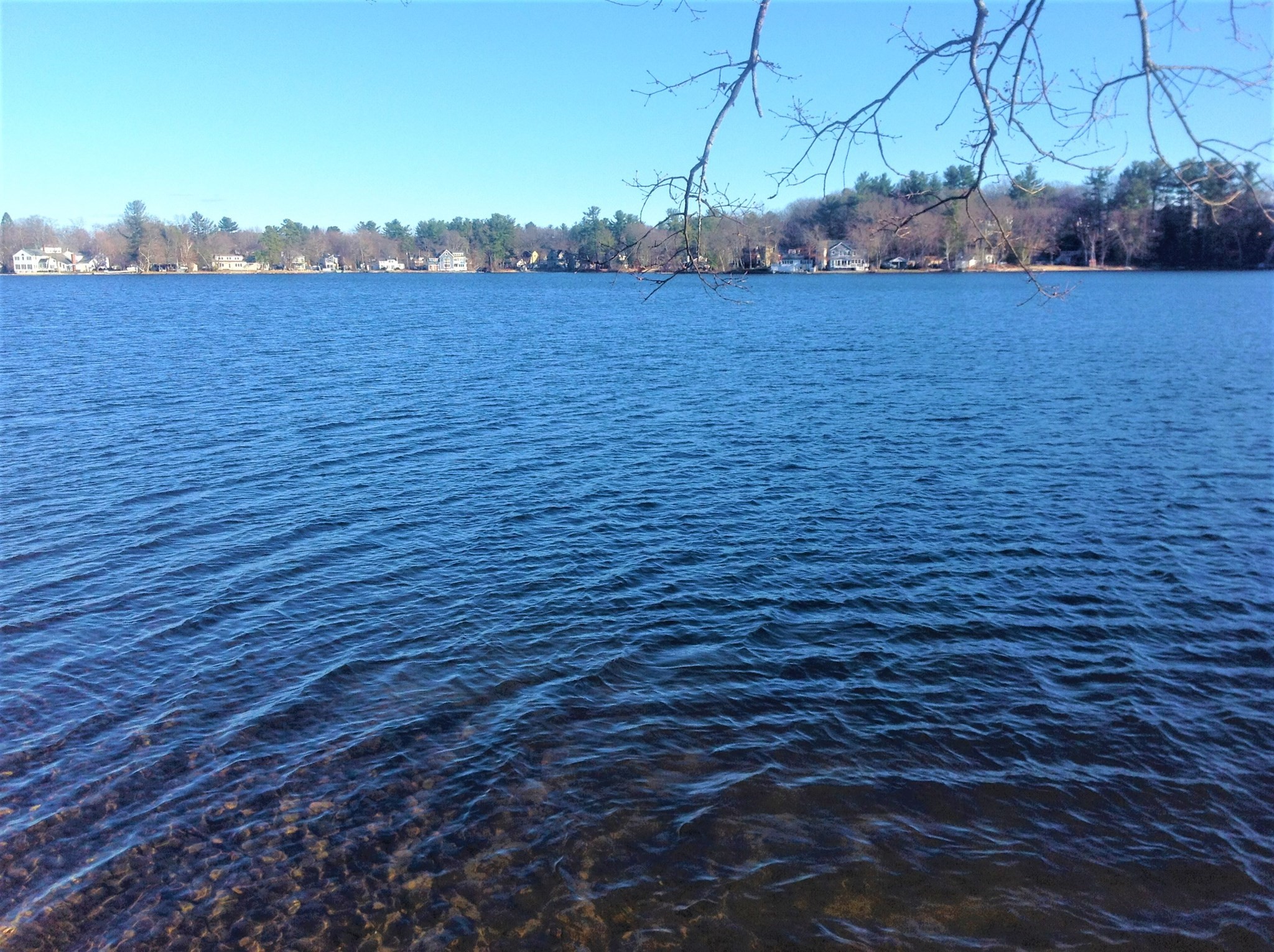 20 Byrne Ave, Westford, MA 01886 - Image 38