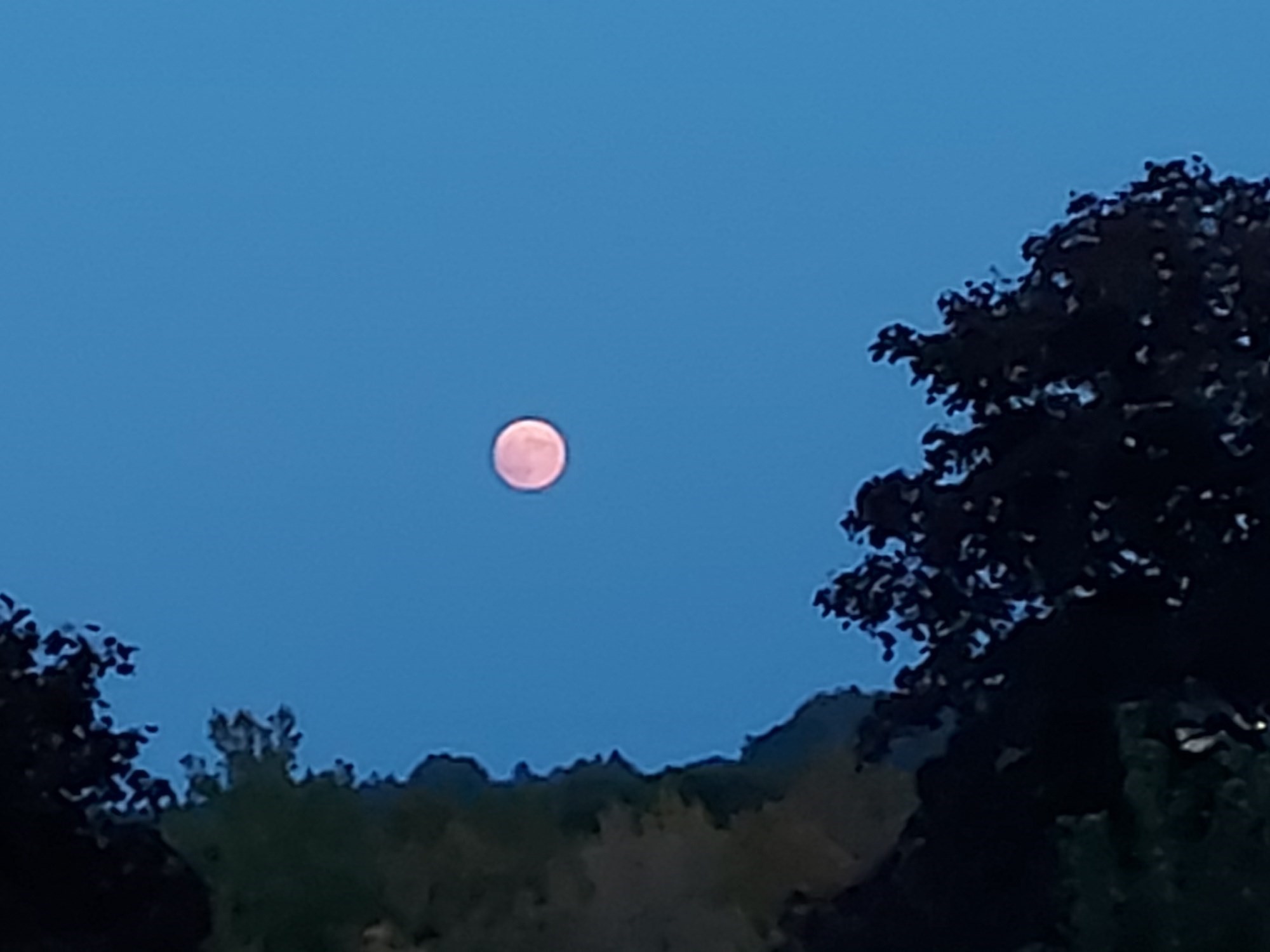 2 Talbot Way Unit 2208, Westborough, MA 01581 - Image 31