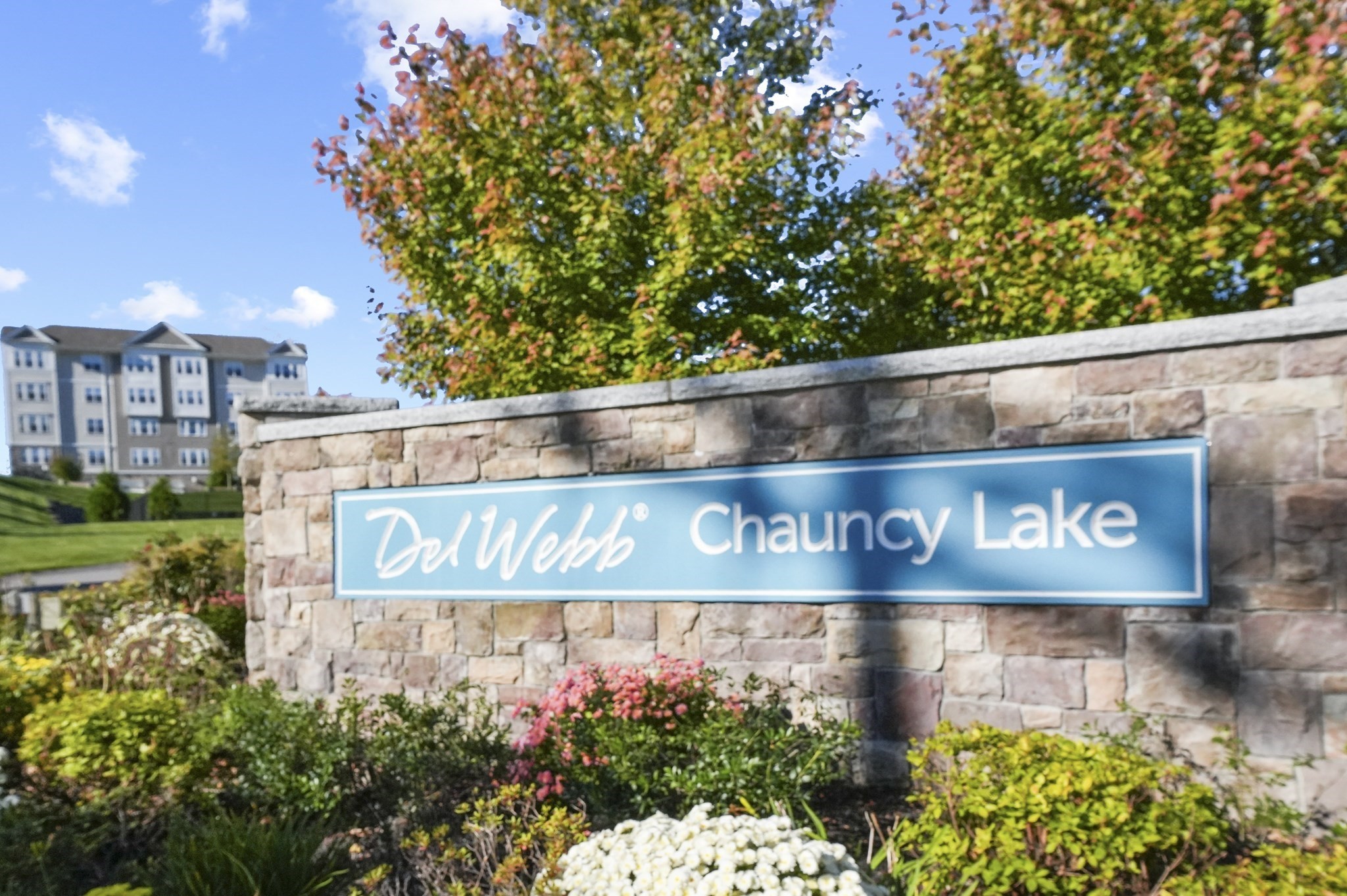 2 Talbot Way Unit 2208, Westborough, MA 01581 - Image 41