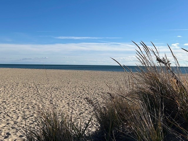 16 Bridgets Path, Barnstable, MA 02632 - Image 27