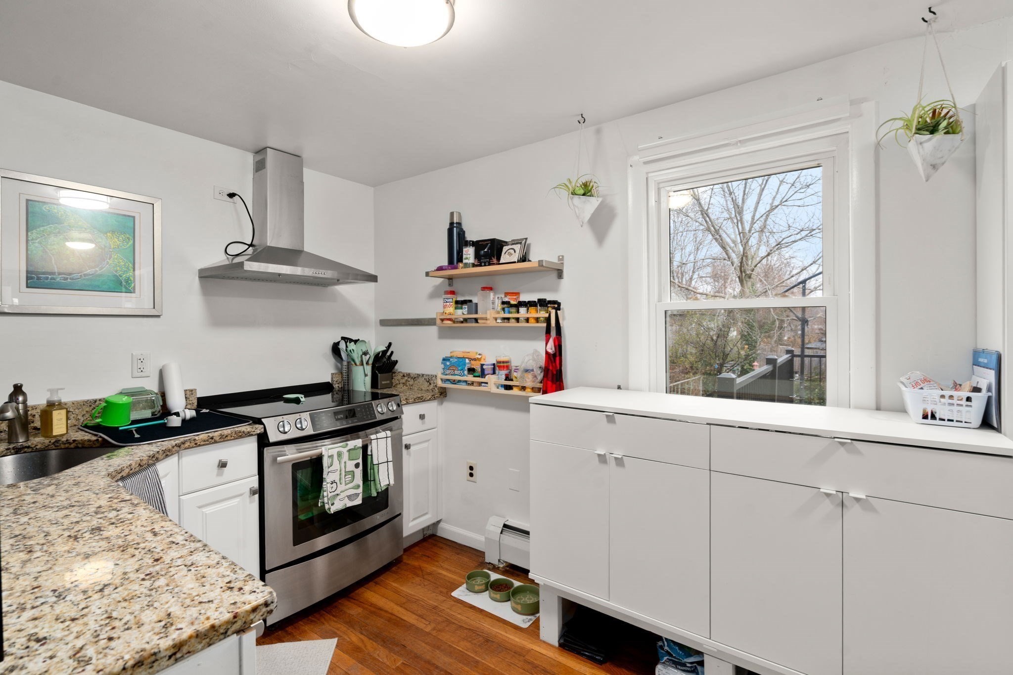 295 Kittredge Street, Roslindale, Boston, MA 02131 - Image 7