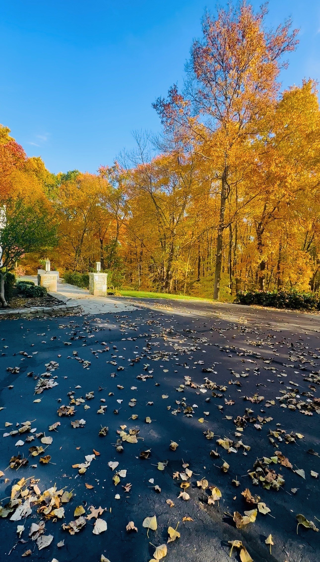 39 Desimone Drive, Marlborough, MA 01752 - Image 3