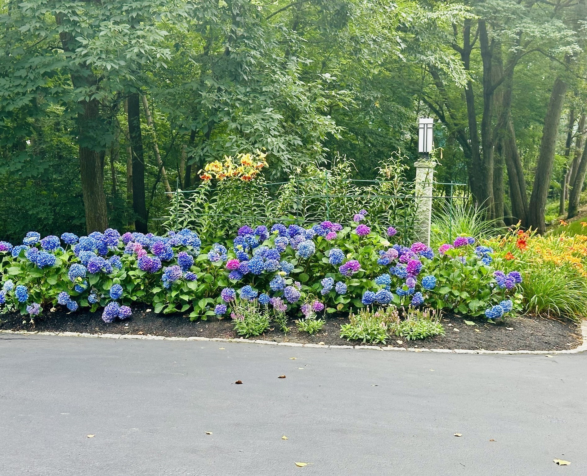 39 Desimone Drive, Marlborough, MA 01752 - Image 34