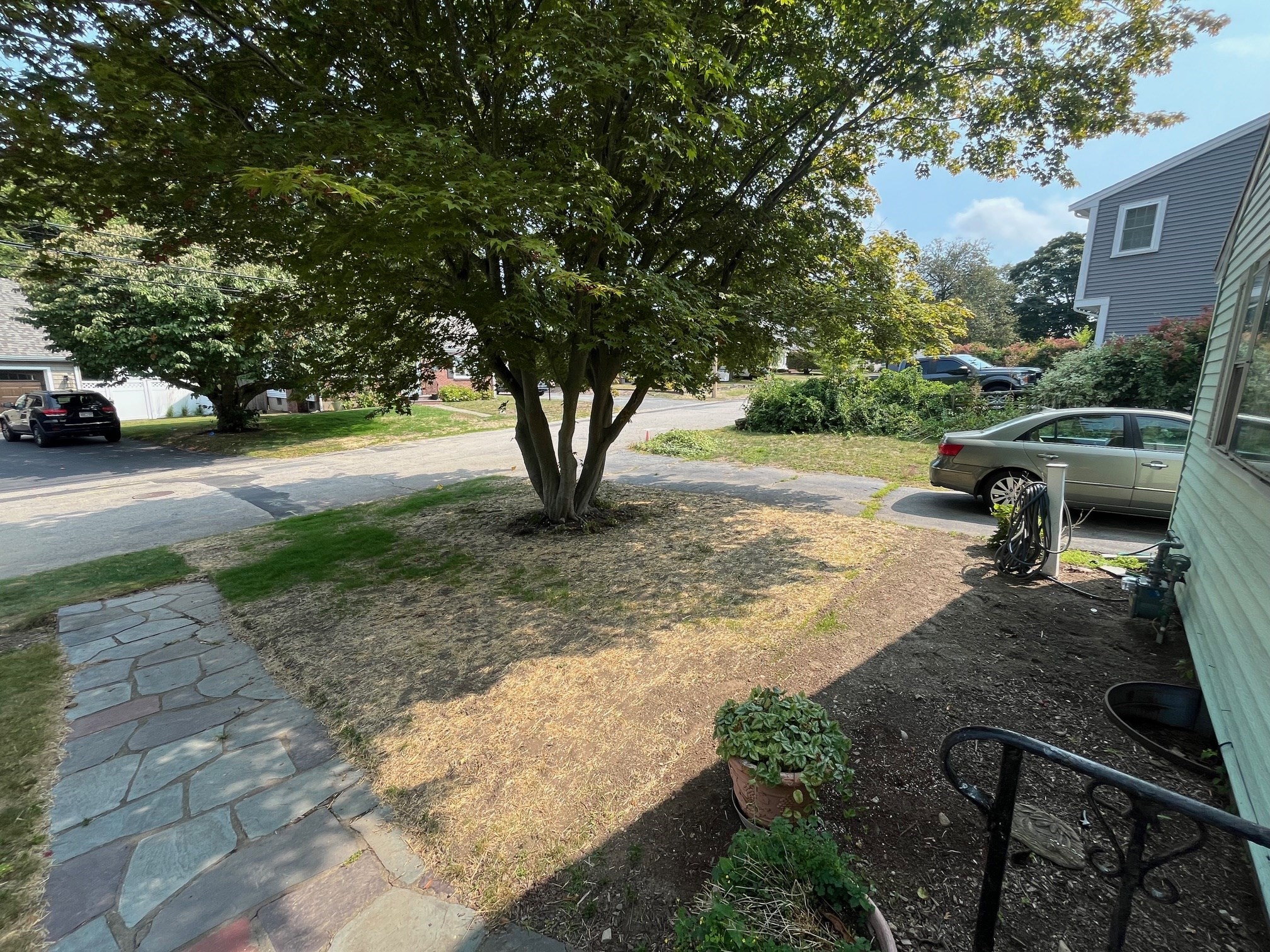 44 Willard St, Dedham, MA 02026 - Image 3