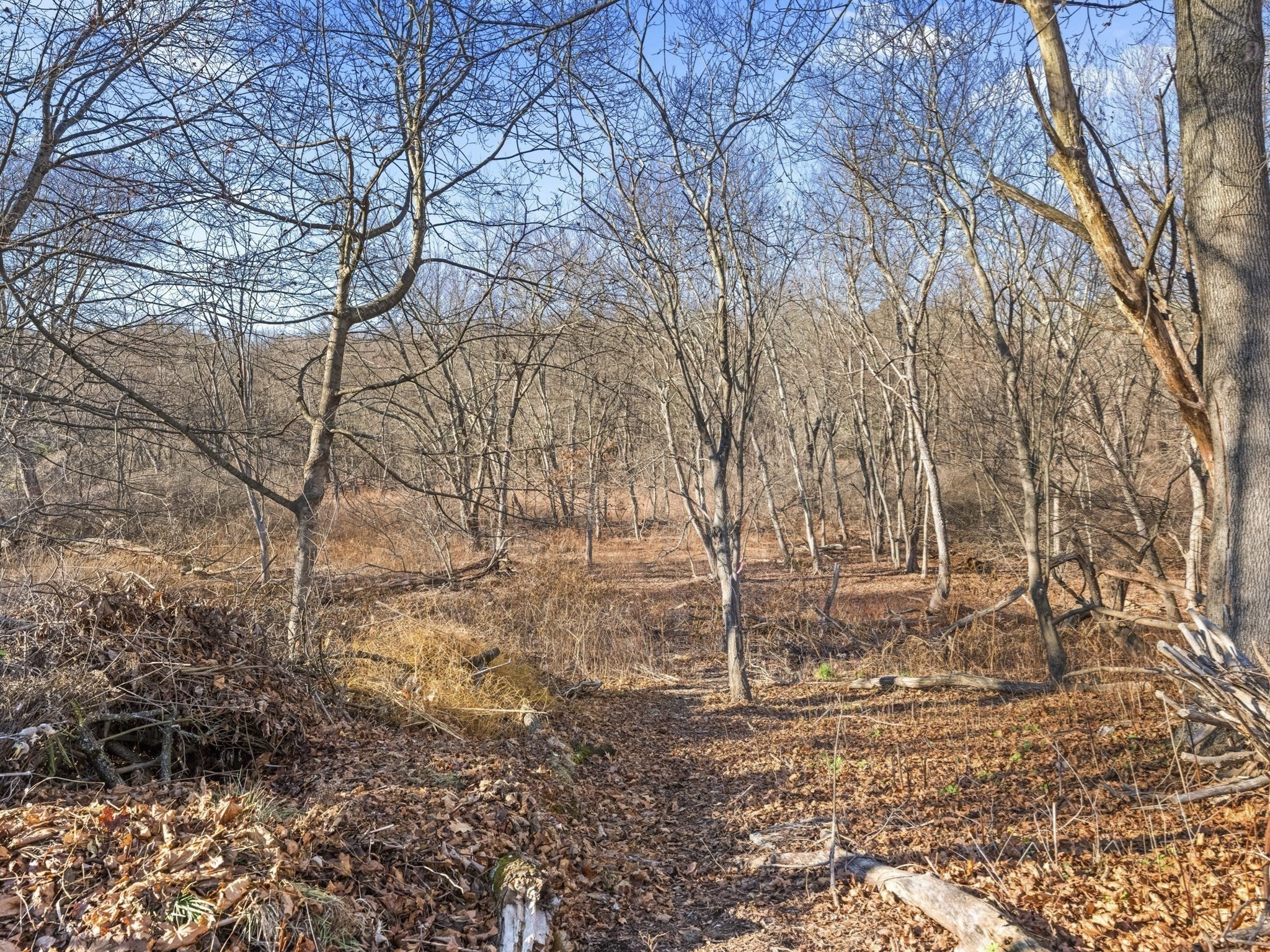 1828 Main St, Concord, MA 01742 - Image 33