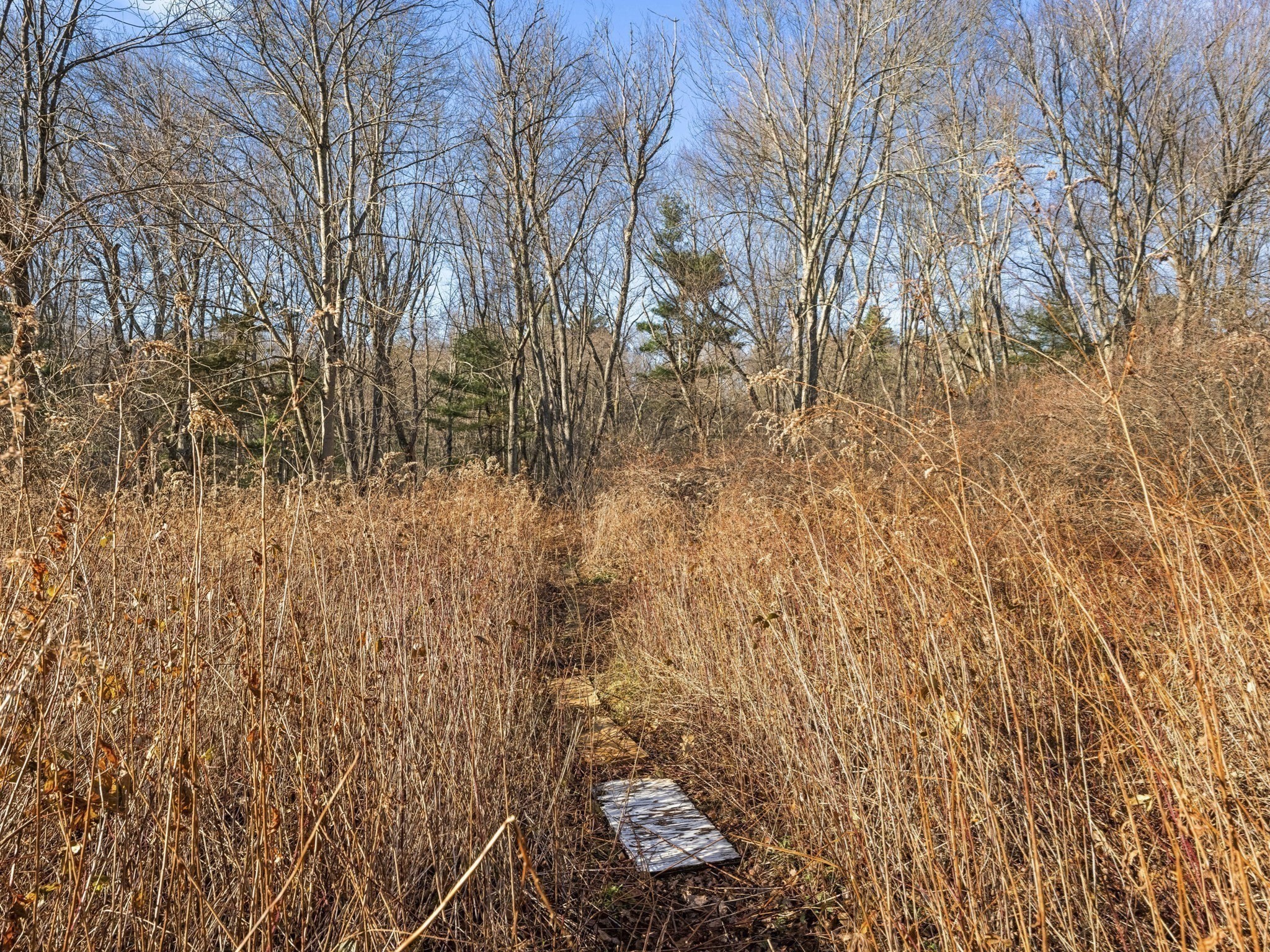 1828 Main St, Concord, MA 01742 - Image 34