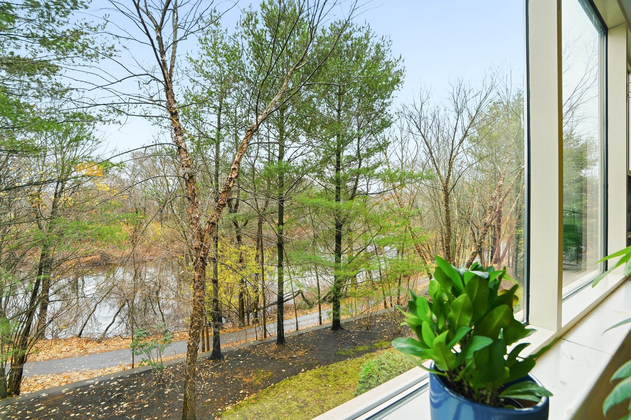 290 Pleasant St Unit 220, Watertown, MA 02472 - Image 21