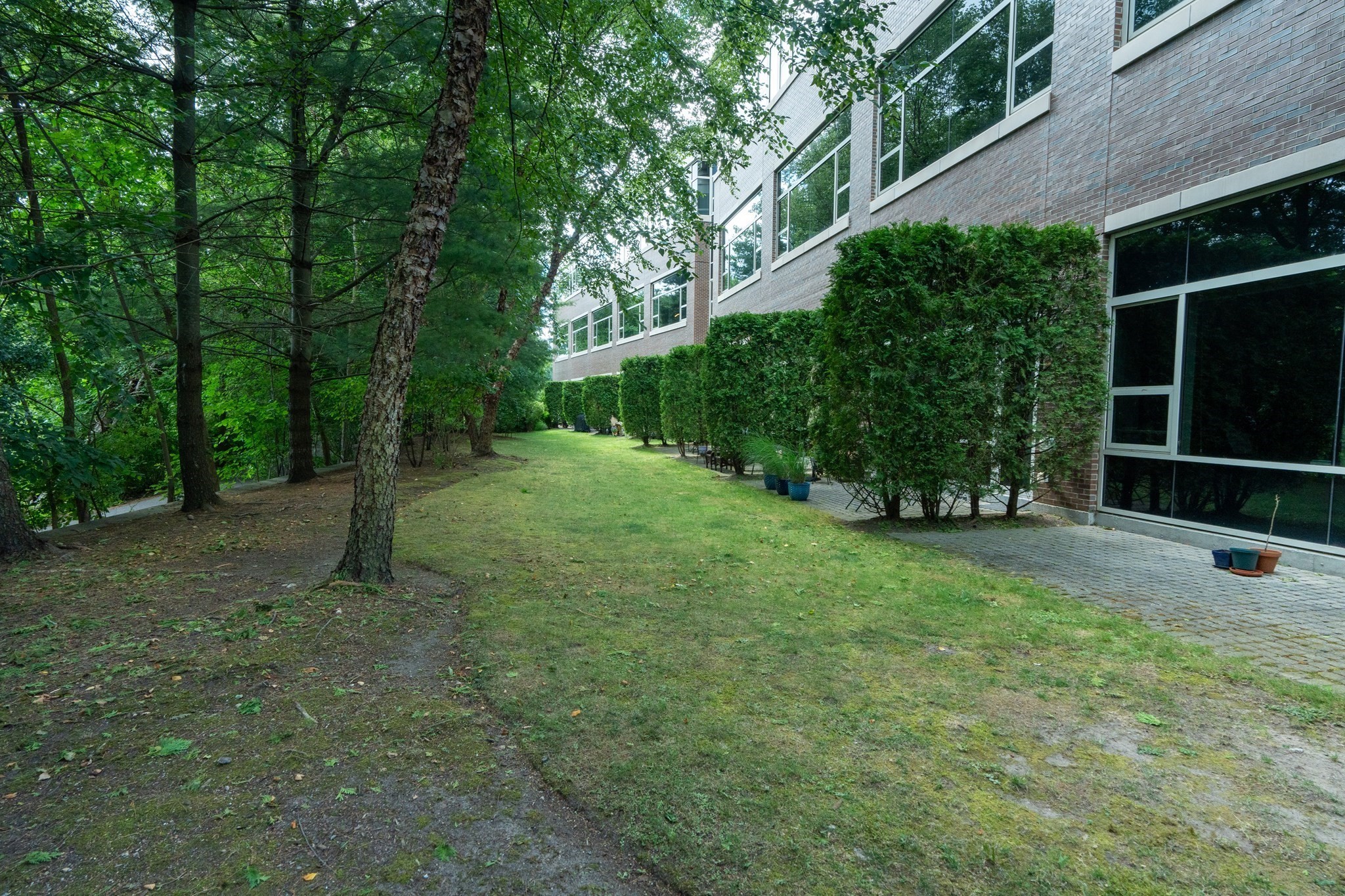 290 Pleasant St Unit 220, Watertown, MA 02472 - Image 27