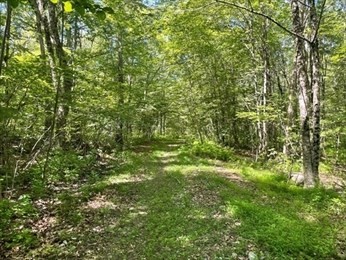 13 Perry St, Douglas, MA 01516 - Image 1