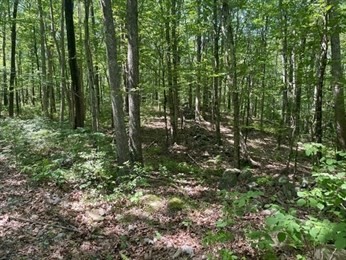 13 Perry St, Douglas, MA 01516 - Image 2