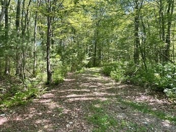 13 Perry St, Douglas, MA 01516 - Image 5