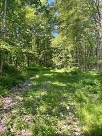 13 Perry St, Douglas, MA 01516 - Image 6