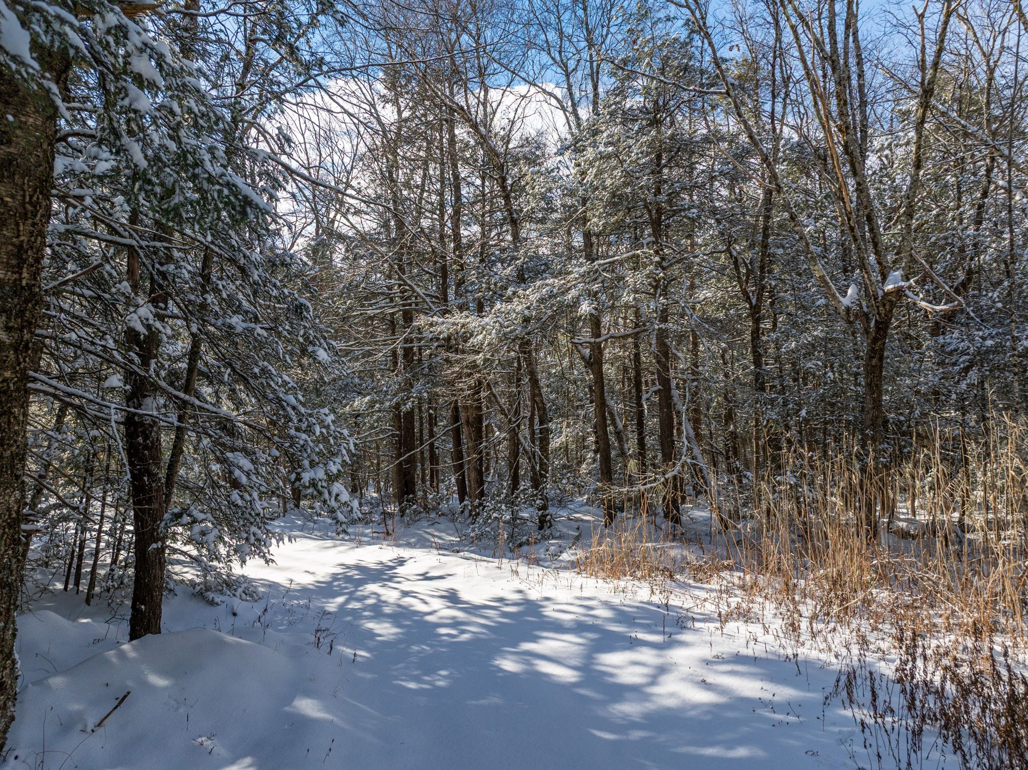 0 Island Acres Rd, Blandford, MA 01008 - Image 4