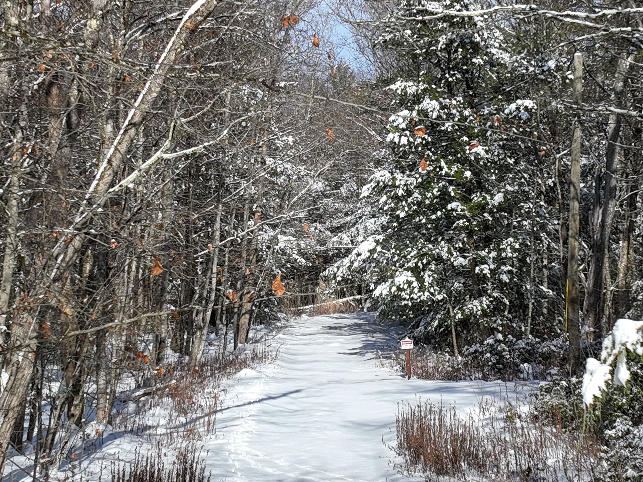 0 Island Acres Rd, Blandford, MA 01008 - Image 5