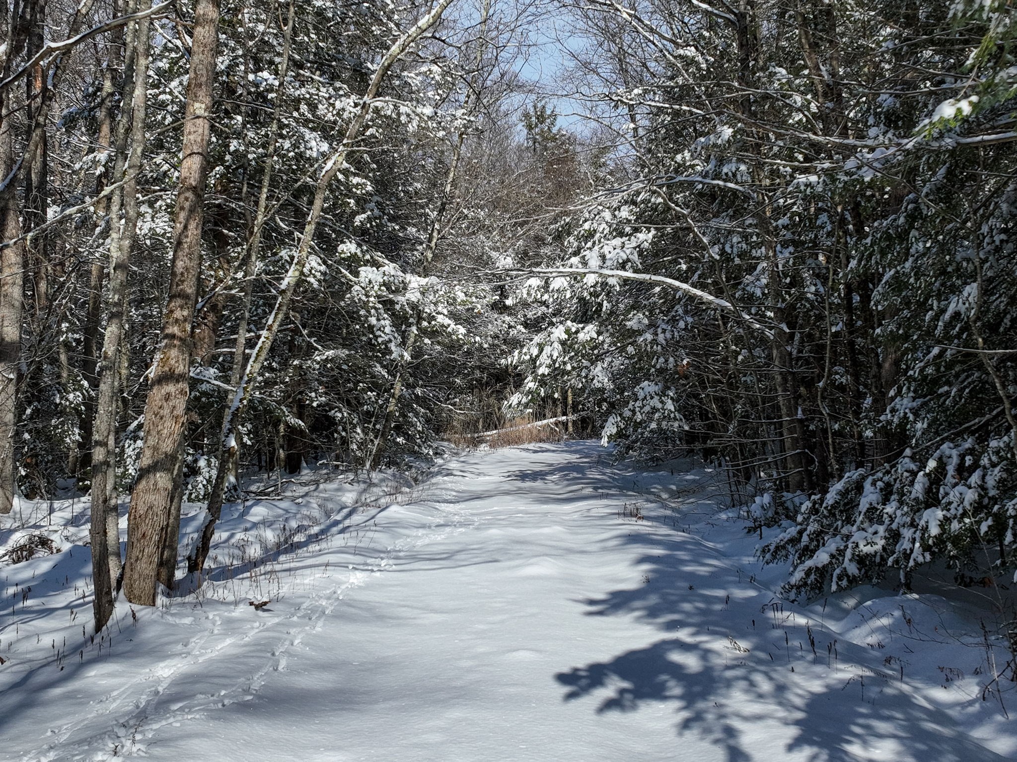 0 Island Acres Rd, Blandford, MA 01008 - Image 6